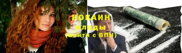 стаф Белокуриха
