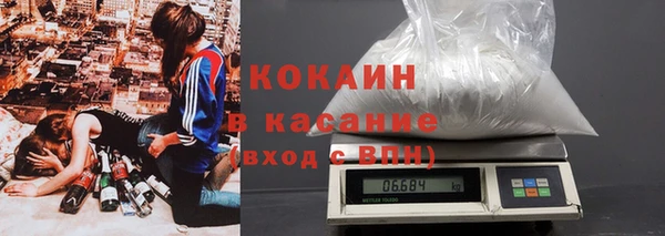 стаф Белокуриха