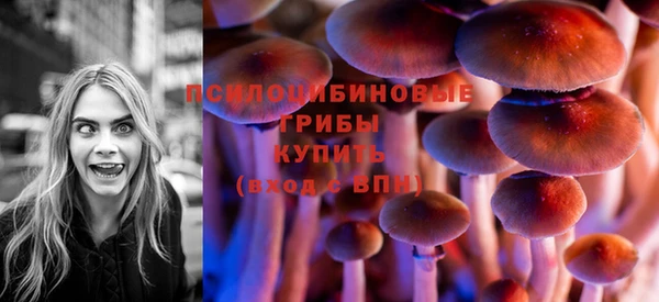 МДПВ Балахна