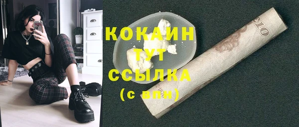 стаф Белокуриха